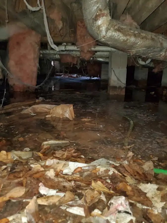 Crawl space flood assessment for Leak Detection & Repair in Stone Mountain